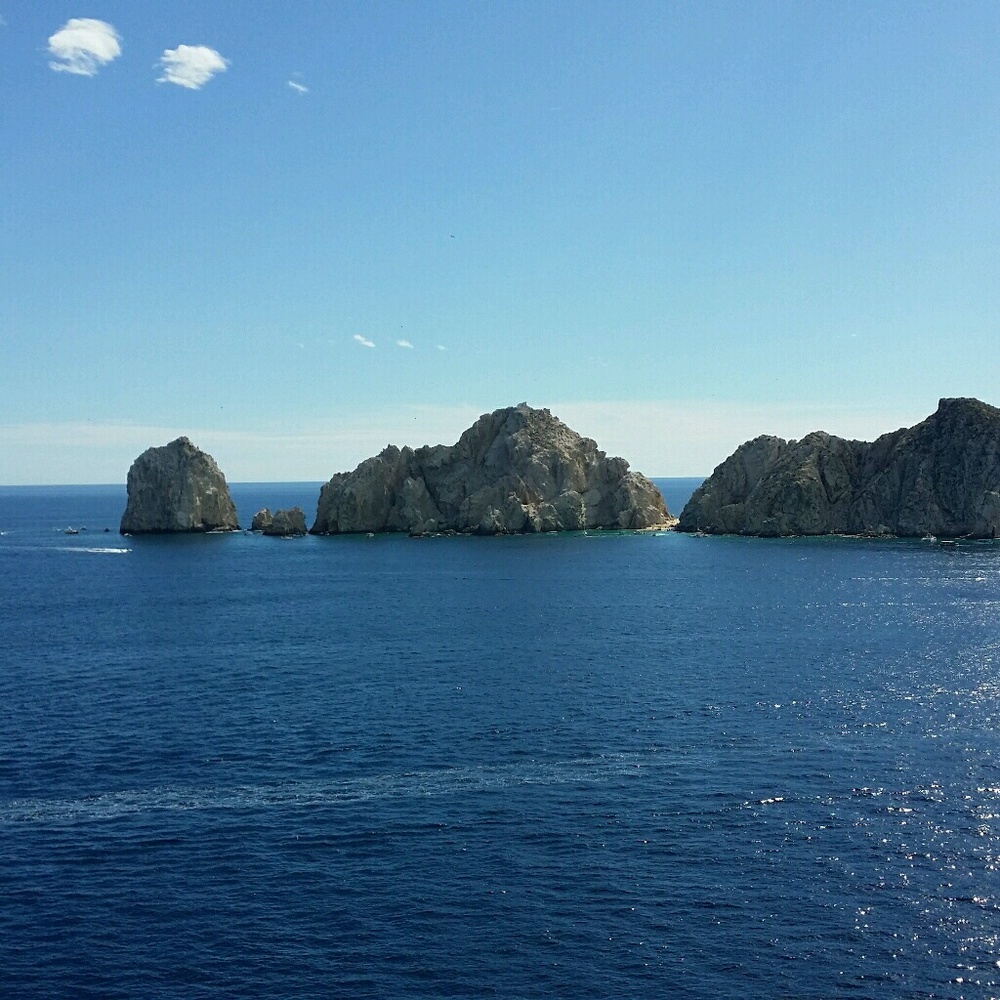 Meet your Posher, Bertha a